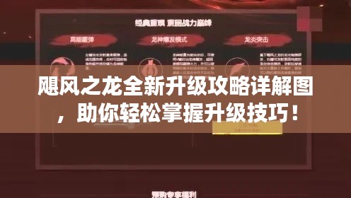 飓风之龙全新升级攻略详解图，助你轻松掌握升级技巧！