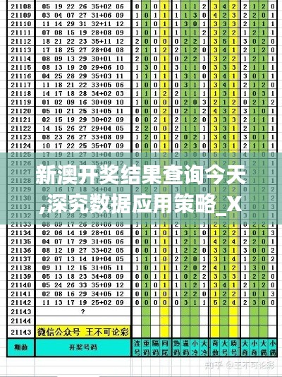 新澳开奖结果查询今天,深究数据应用策略_XGN93.912UHD