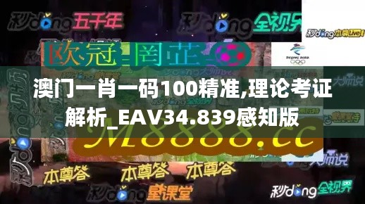 澳门一肖一码100精准,理论考证解析_EAV34.839感知版