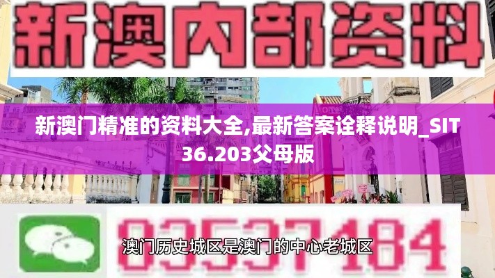 新澳门精准的资料大全,最新答案诠释说明_SIT36.203父母版