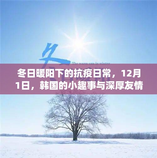 冬日暖阳下的抗疫日常，韩国小趣事与深厚友情，12月1日记录