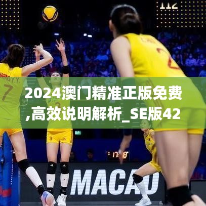 2024澳门精准正版免费,高效说明解析_SE版42.149-8