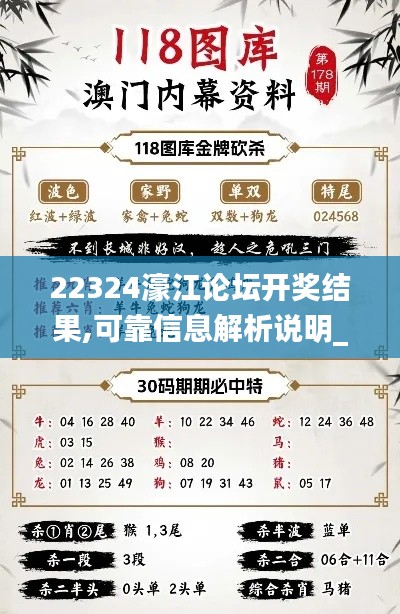 22324濠江论坛开奖结果,可靠信息解析说明_精英版58.433-6