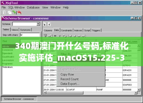 340期澳门开什么号码,标准化实施评估_macOS15.225-3