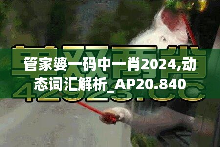 管家婆一码中一肖2024,动态词汇解析_AP20.840