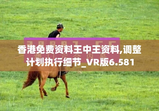 香港免费资料王中王资料,调整计划执行细节_VR版6.581