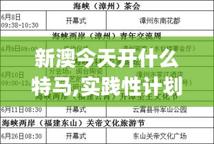 新澳今天开什么特马,实践性计划实施_战略版8.223