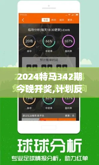 2024特马342期今晚开奖,计划反馈执行_精英版2.186