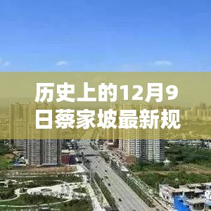 历史上的12月9日蔡家坡最新规划方案揭秘