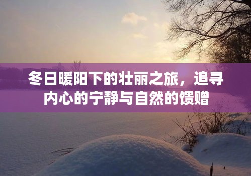 冬日暖阳下的心灵之旅，追寻宁静与自然的馈赠