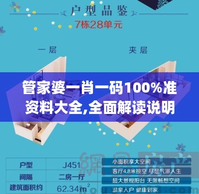 管家婆一肖一码100%准资料大全,全面解读说明_7DM11.453