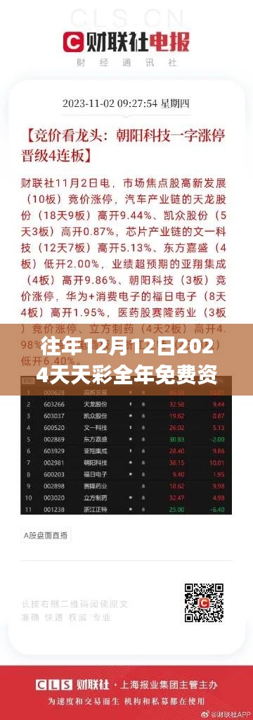 往年12月12日2024天天彩全年免费资料,实践性执行计划_5DM9.459