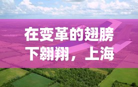 上海建筑门窗检测站的学习与成长之旅，翱翔变革的翅膀下