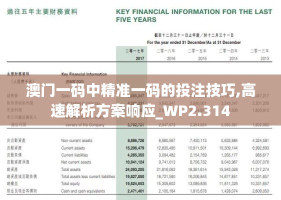 澳门一码中精准一码的投注技巧,高速解析方案响应_WP2.314