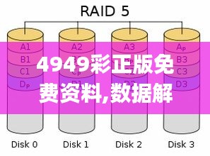 4949彩正版免费资料,数据解读说明_WP9.985