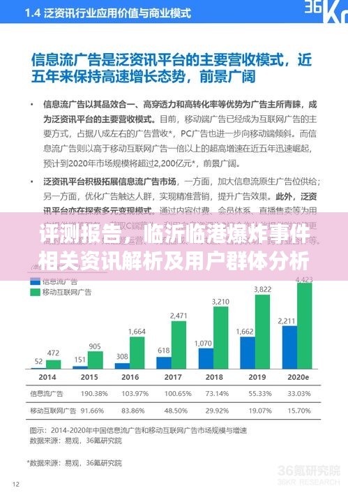 临沂临港爆炸事件评测报告，资讯解析与用户群体分析