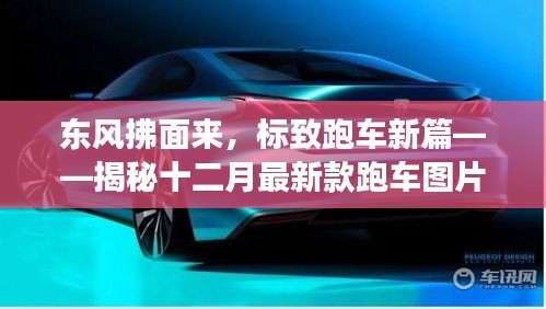 揭秘东风拂面的新款标致跑车，十二月最新款跑车图片背后的故事