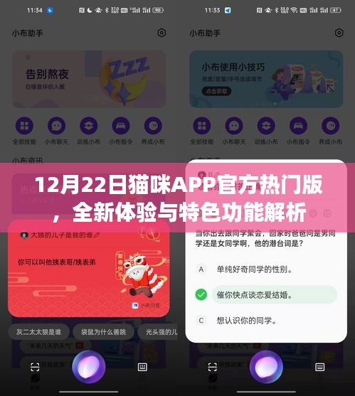 12月22日猫咪APP全新版解析，热门特色功能与全新体验