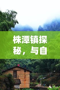 株潭镇探秘，与自然共舞，寻觅内心宁静之旅