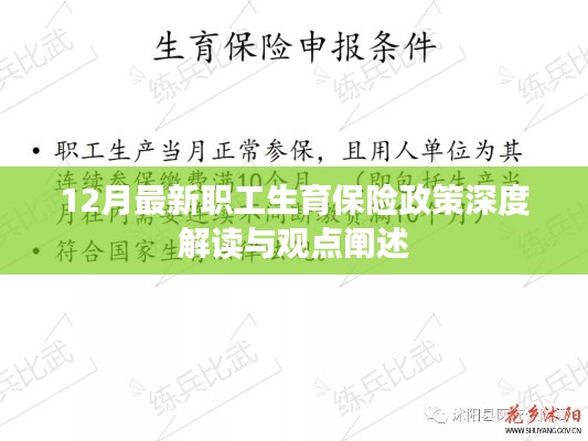 深度解读，最新职工生育保险政策观点及12月实施细节阐述