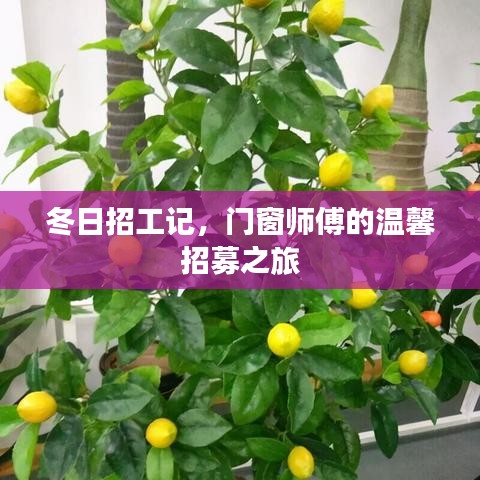 冬日门窗师傅的温馨招募之旅