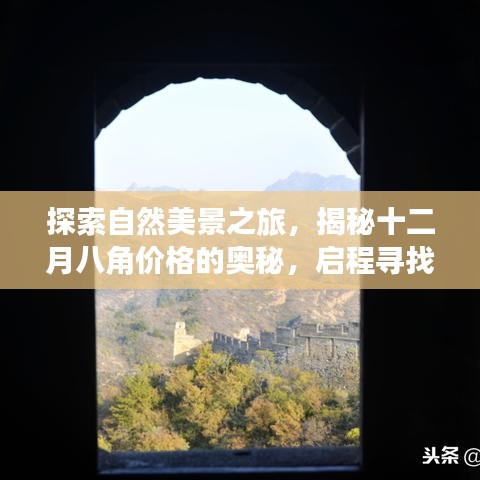 揭秘十二月八角价格奥秘，自然美景之旅，寻找内心宁静与平和的启程