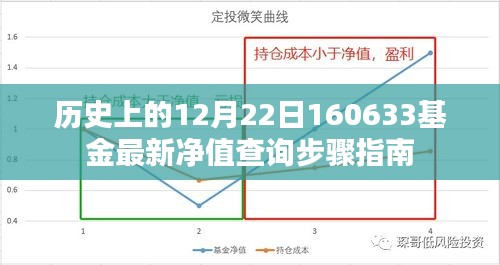 最新净值查询指南，了解历史日期下的基金净值变动——以12月22日为例