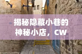 CWM探秘之旅，揭开小巷神秘小店的面纱，独特环境盛宴揭晓