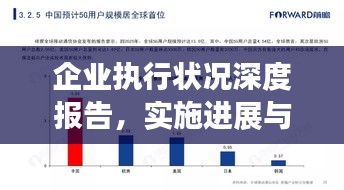 企业执行状况深度报告，实施进展与成效分析