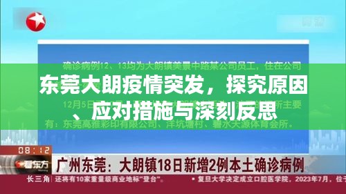 东莞大朗疫情突发，探究原因、应对措施与深刻反思