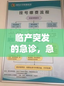 临产突发的急诊，急诊分娩应急预案 