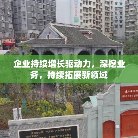 企业持续增长驱动力，深挖业务，持续拓展新领域