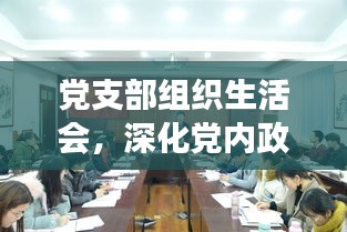 党支部组织生活会，深化党内政治生活，强化落实力的重要一环