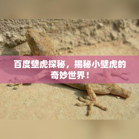 百度壁虎探秘，揭秘小壁虎的奇妙世界！