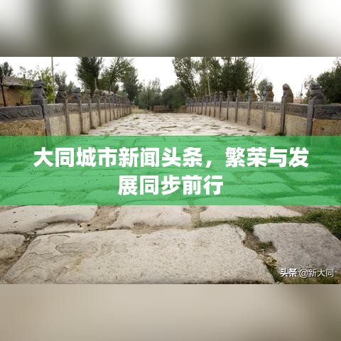 大同城市新闻头条，繁荣与发展同步前行