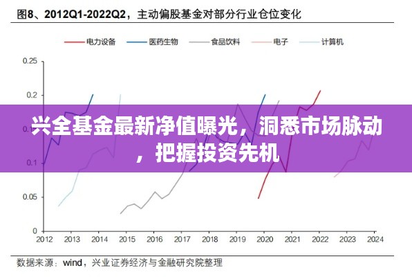 兴全基金最新净值曝光，洞悉市场脉动，把握投资先机