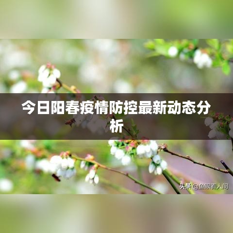 今日阳春疫情防控最新动态分析