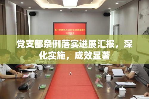 党支部条例落实进展汇报，深化实施，成效显著