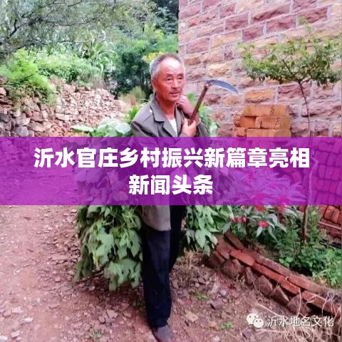 沂水官庄乡村振兴新篇章亮相新闻头条