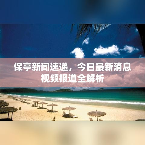 保亭新闻速递，今日最新消息视频报道全解析