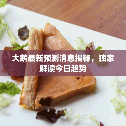 大鹅最新预测消息揭秘，独家解读今日趋势