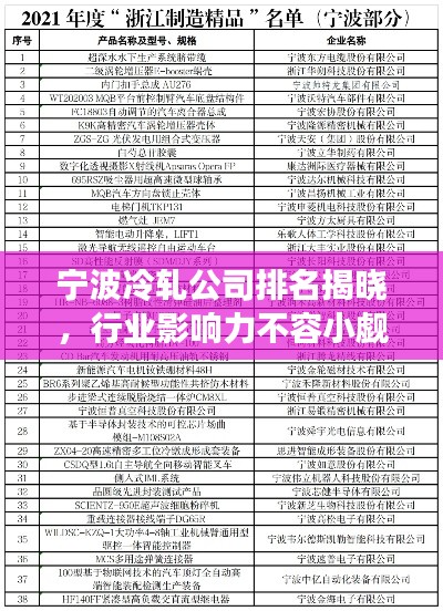 宁波冷轧公司排名揭晓，行业影响力不容小觑
