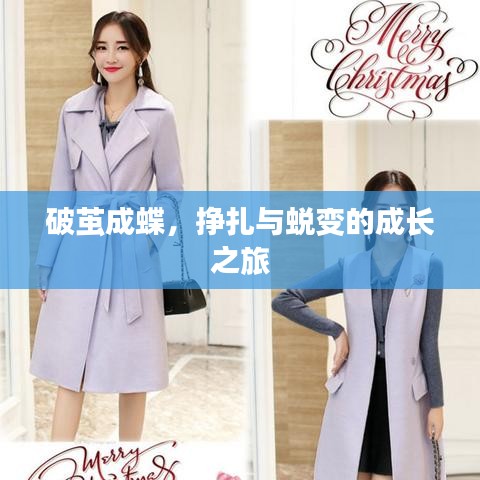破茧成蝶，挣扎与蜕变的成长之旅