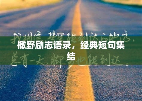 撒野励志语录，经典短句集结
