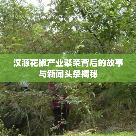 汉源花椒产业繁荣背后的故事与新闻头条揭秘