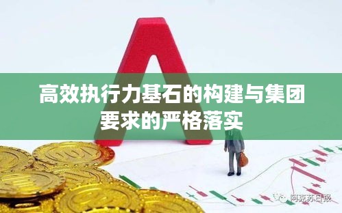 高效执行力基石的构建与集团要求的严格落实