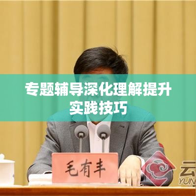 专题辅导深化理解提升实践技巧