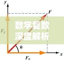 数学复数深度解析，概念、应用与实例探究