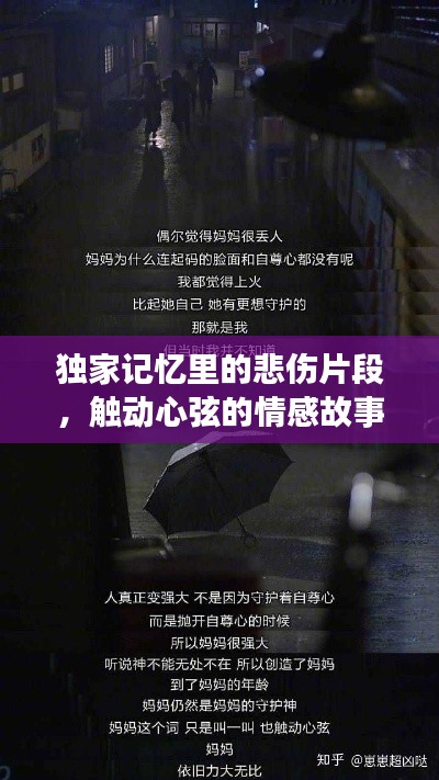 独家记忆里的悲伤片段，触动心弦的情感故事