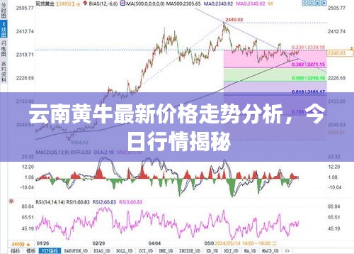 云南黄牛最新价格走势分析，今日行情揭秘